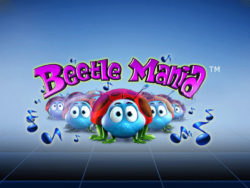 Beetle Mania